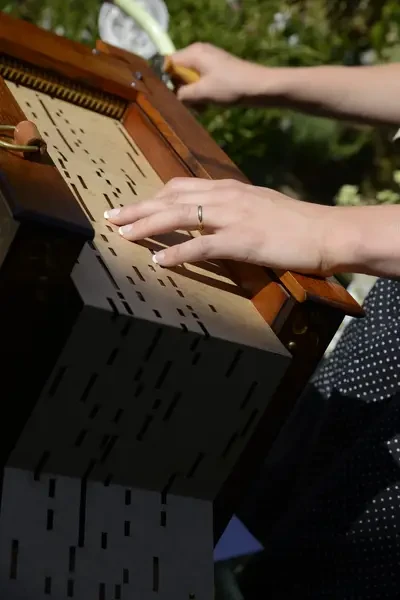 photo du groupe Flavie et son orgue de Barbarie