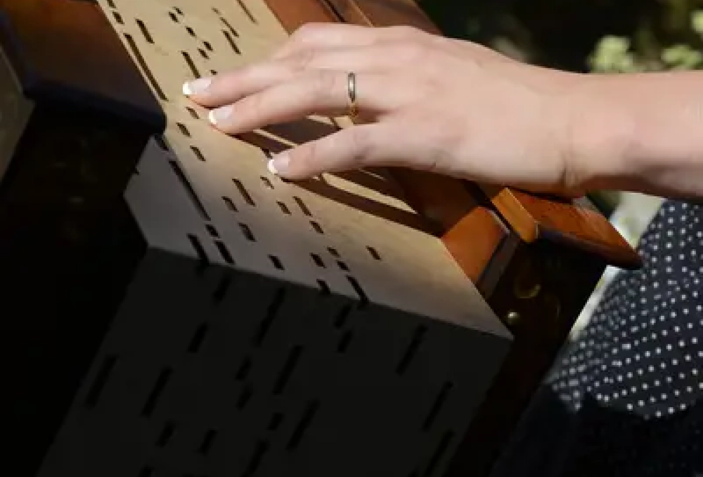 cover Flavie et son orgue de Barbarie
